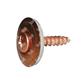 VVXR-Stainless steel copper pltd PZ screw w/washer d.20+EPDM (in 1 pc) 4,5x25xR20