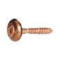 VSXR-Stainless steel copper pltd PZ screw w/washer d.15+EPDM (in 2 pcs) 4,5x25xR15