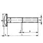 Round head square neck bolts without hex nut UNI 5731/DIN 603 stainless steel 304 M12x30