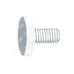 Slotted knurled head screw 6.6 Natural M5x16
