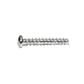 Thread forming screw for plastic 30° pan head (H) white zinc plated steel 3x14