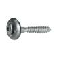 VSXXT-Stainless steel HX20 screw w/washer and seal d15 4,5x35xR15