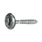 VSXXT-Stainless steel HX20 screw w/washer and seal d15 4,5x100xR15