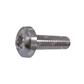 Torx T6 pan head screw ISO 14583/D7985 4.8 - white zinc plated steel M2x20